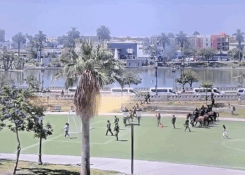 Feds Invade L.A.’s MacArthur Park—Families Flee as ICE Agents Sweep In